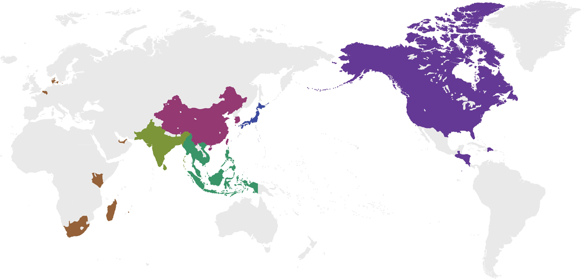 世界地図